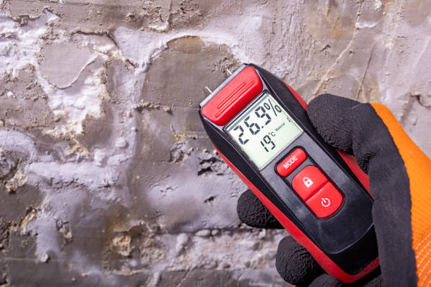 Best Industrial Mold Remediation in Wesson, MS